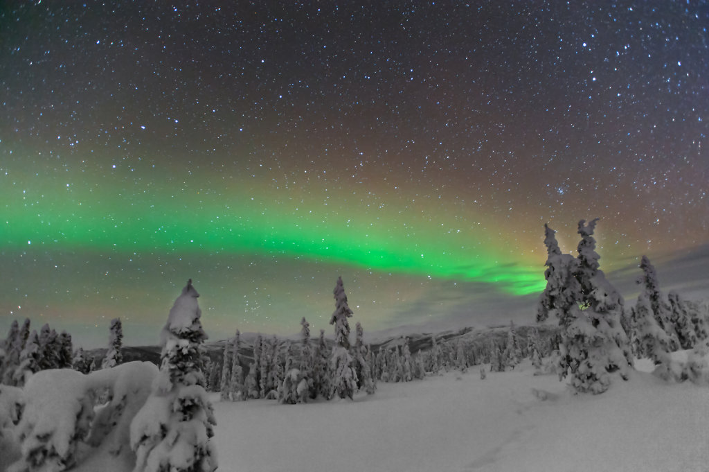 Northern Lights near Chena Hot Springs (Alaska / USA)